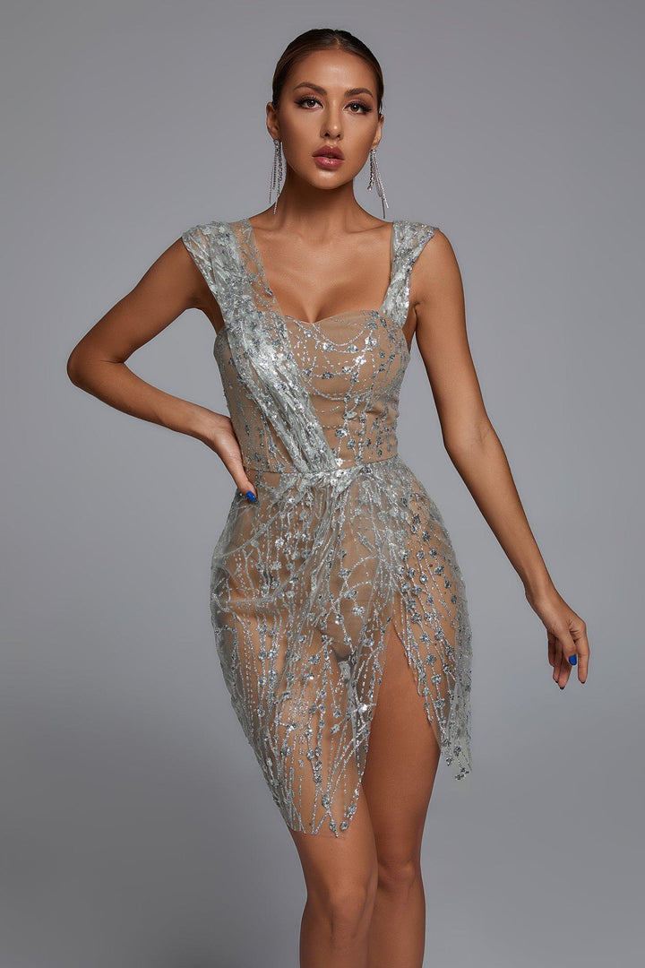 Sedaya Glitter Mesh Mini Dress - Silver - sarahselena